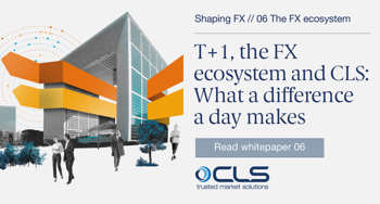 FX Ecosystem 06 What A Difference A Day Makes Diagram SM